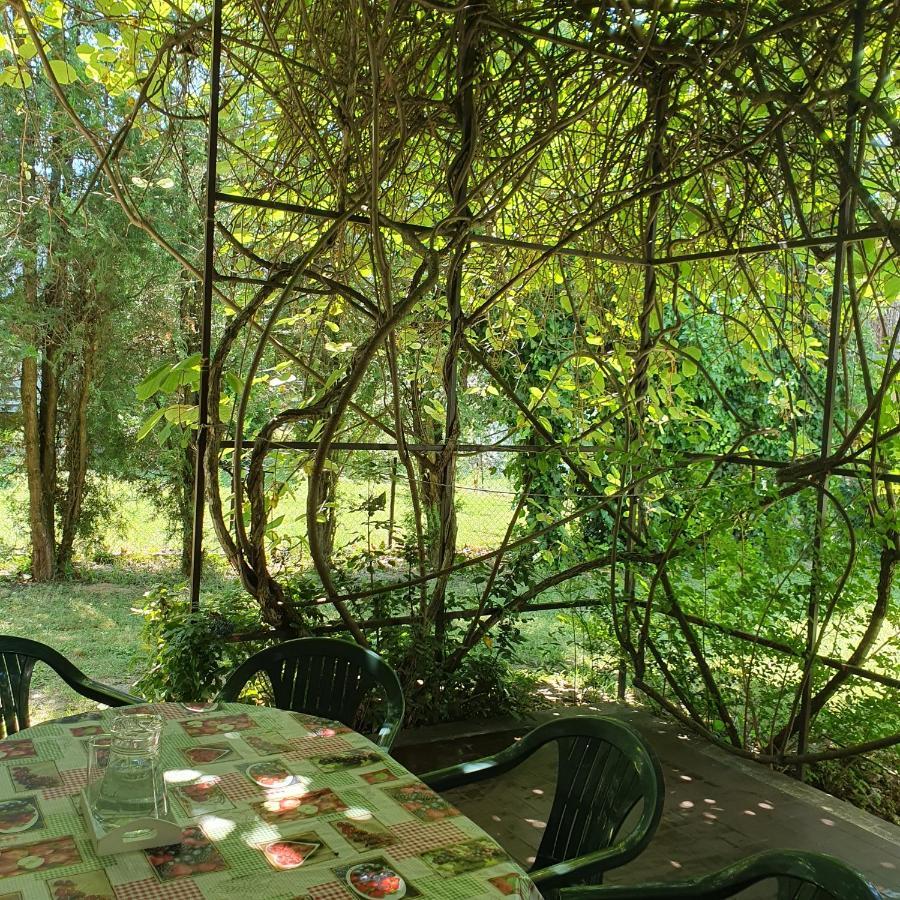 Sophie'S Guesthouse Шиофок Экстерьер фото